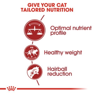 ROYAL CANIN® Fit 32 10kg